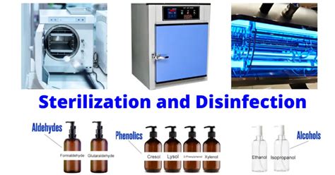 Sterilization (microbiology) 